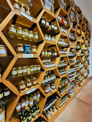  at CasaBIO in Cluj-napoca