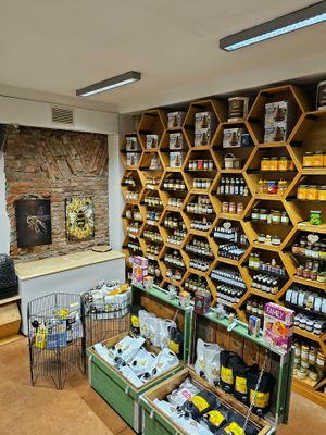  at CasaBIO in Cluj-napoca