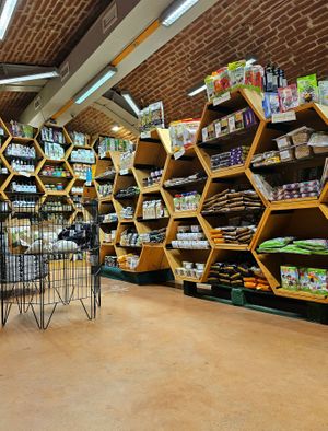  at CasaBIO in Cluj-napoca