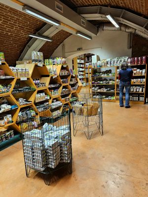  at CasaBIO in Cluj-napoca