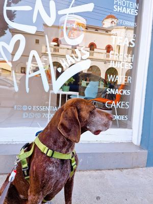  at Essential Haus  in Limassol