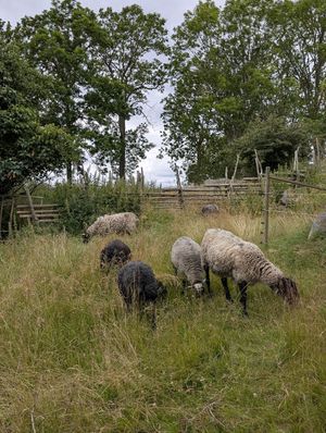  at Flättinge Gårdscafe in Huskvarna