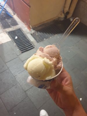 Fig and lime sorbet at Azzurro Artisan Glacier in Nice