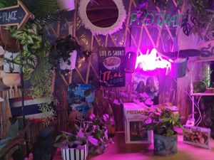 Ambience at Padthaii  in Quarteira