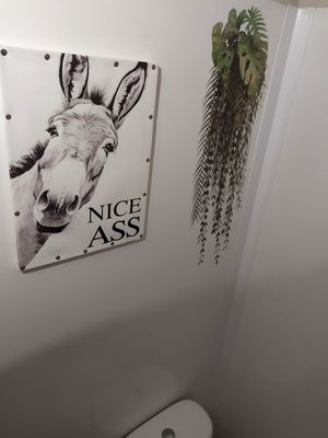 Toilet art at Padthaii  in Quarteira