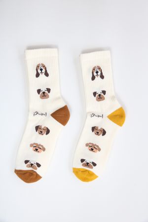 Medias Perritos  at Tida in Medellin