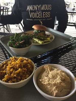 Burger and sides at Sunflower Cafe in Nashville