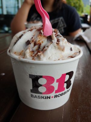 They had one vegan option of ice cream, it was choco mint, and it was delicious! 😋🍦 at Muddy Waters Cafe in Harrison Hot Springs