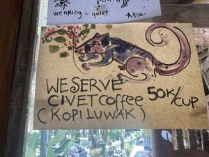 They have Civet coffee   at Water Castle Cafe in Yogyakarta