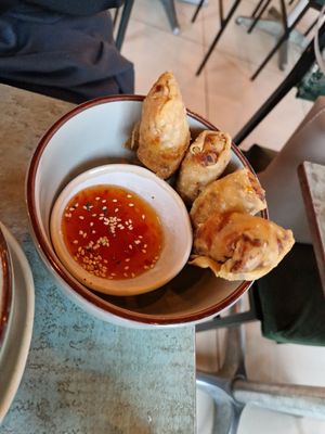 Spring Rolls at Soy Club in Stuttgart