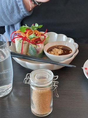 Spring rolls at Soy Club in Stuttgart