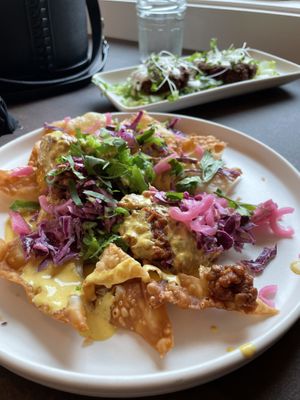 Wonton nachos  at Bar Botanical in Crozet