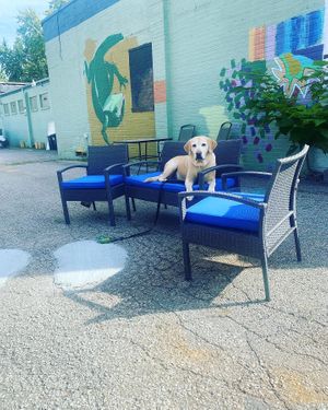   at Alkaline Allie in Cincinnati