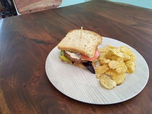  at Cosmic Veggies in Oak Harbor