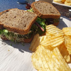 Loaded Veggie - full sized sandwich at Cosmic Veggies in Oak Harbor