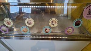 Flavors at Van Leeuwen Ice Cream - Morse St NE in Washington