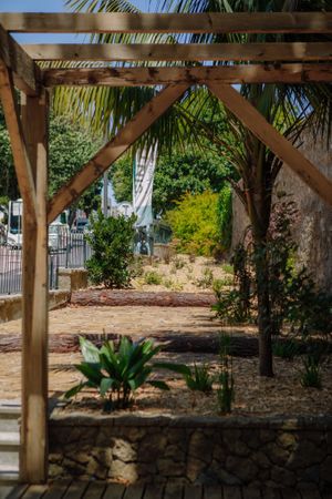 shade under our pergola with garden view at Mela Canela - Sintra Centre in Sintra