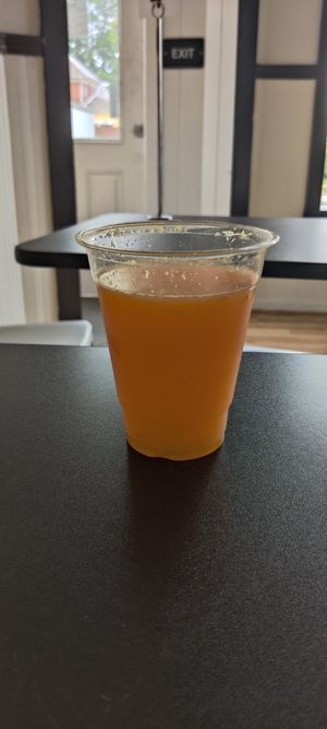 Orange juice at Bed Head Vegan Brunch House in Bethlehem