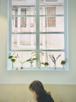   at Wanaka in Hong Kong Island