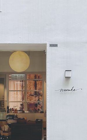   at Wanaka in Hong Kong Island