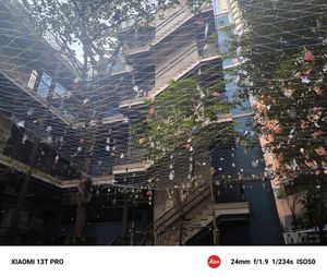  at Wanaka in Hong Kong Island