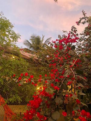 Jardim da Vila Jundu  at Vila Jundu in Guaruja