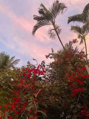 Fim de tarde encantador 🧙‍♂️   at Vila Jundu in Guaruja