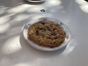 Jane Fonda vegan cookie  at Farmers Union Coffee Roasters in Eugene