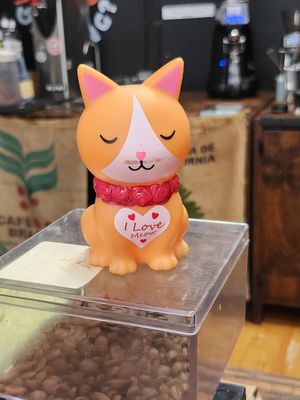 Inside at What's Brewing Coffee Roasters in San Antonio