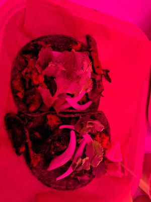  at Duro De Matar in Lisbon