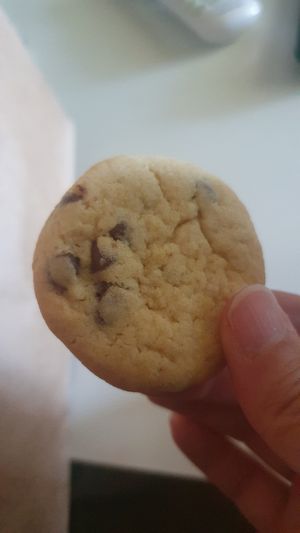 Chocochip at Vegan Cookie Crush in Madrid