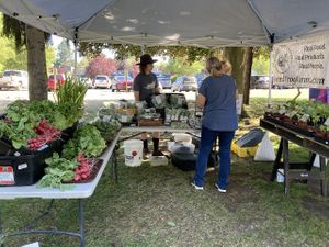 Vendor at Bremerton Community Farmers Market in Bremerton
