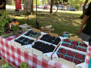 Vendor at Bremerton Community Farmers Market in Bremerton