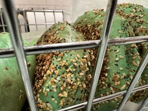 bagels jalapeño 🌶️  at Tompkins Square Bagels in New York City
