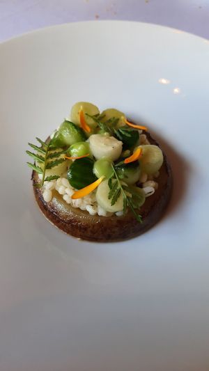 Komkommertaartje met parelgort at Vannu in Breda