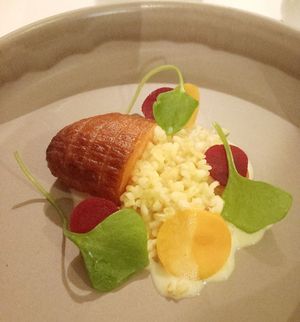 Gebakken flespompoen in een marinade van roodwier at Vannu in Breda