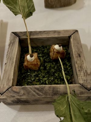 Before dinner snacks: deep fried celeriac  at Vannu in Breda