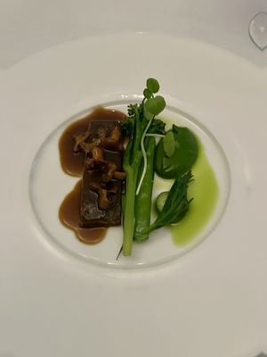 Fourth course: grilled bimi, a millet patty and a mushroom gravy  at Vannu in Breda