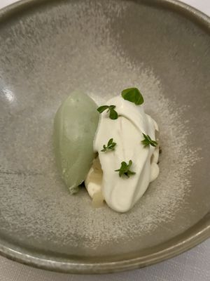 Sweet dessert: homemade pumpkin seed ice cream with spinach and salted lemon creamm  at Vannu in Breda