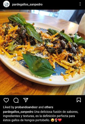 gallos de hongo portobello at Par de Gallos in San Pedro