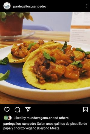 gallos de picadillo de papa con chorizo vegano beyond meat at Par de Gallos in San Pedro
