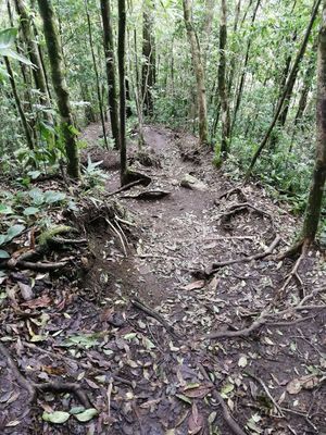 at El Tigre Waterfalls Monteverde in Monteverde