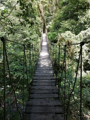  at El Tigre Waterfalls Monteverde in Monteverde