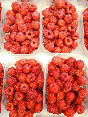  at inocent in Timisoara