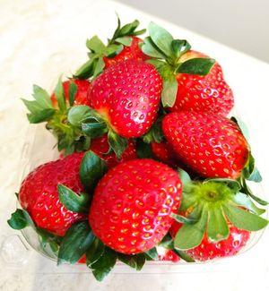  at inocent in Timisoara