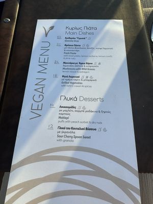 Vegan menu (wish we had space for dessert!)  at Oia Gefsis in Oia