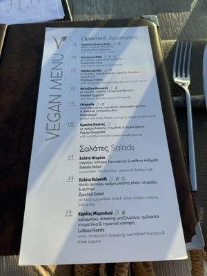 Vegan menu (make sure to ask for it!)  at Oia Gefsis in Oia