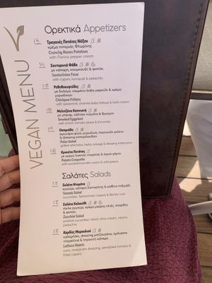 vegan menu at Oia Gefsis in Oia