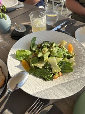 “Green of the Land” salad had great flavor  at Oia Gefsis in Oia