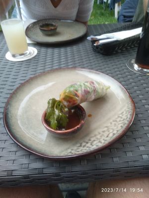 Summer rolls as a starter. Can fully recommend it at Dam Restaurant in Hamburg